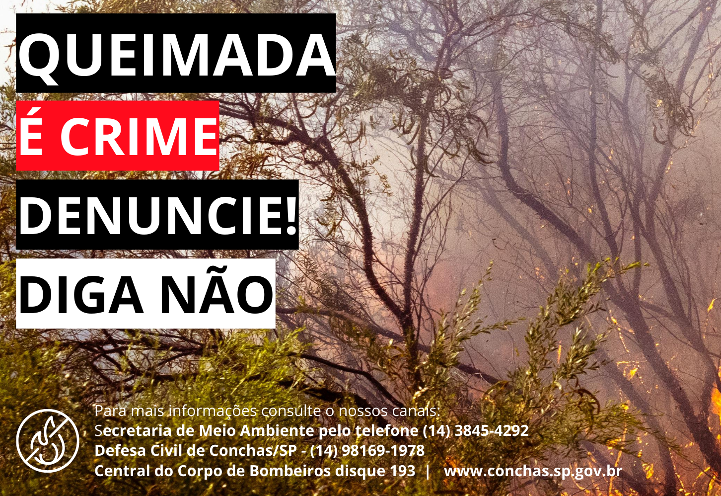 Imagem da Notícia